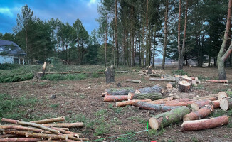 Zielona Dolina zielona tylko z nazwy? Trwa wycinka nad rzeką - ZDJĘCIA 
