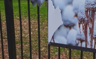Zdewastowano wystawę na ogrodzeniu Parku Miejskiego?