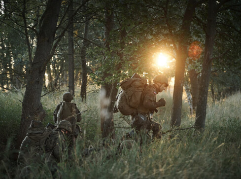 Szkolili się w Dolaszewie. Przysięga już w sobotę w Chodzieży - grafika