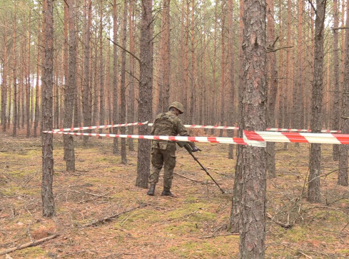 Pocisk artyleryjski w lesie pod Krzyżem Wielkopolskim - grafika