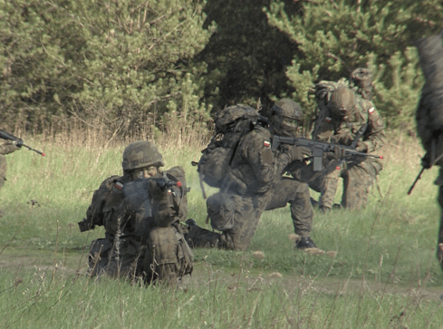 Szkolenie terytorialsa trwa trzy lata... - grafika