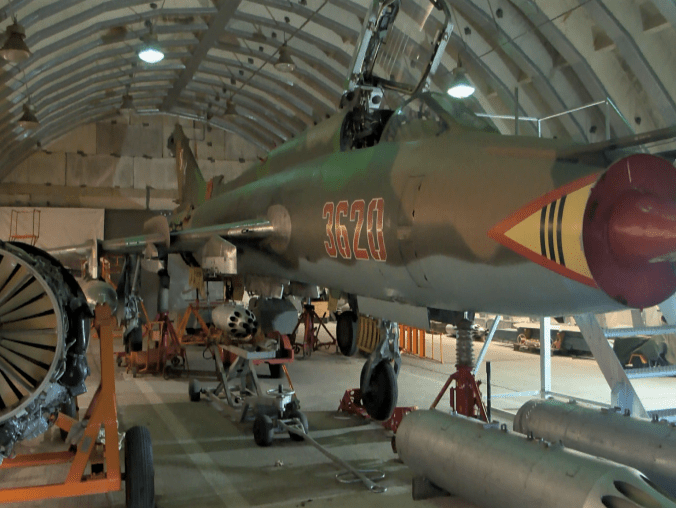 ,,Ustrzel" tygrysa! - grafika