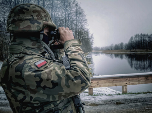 Terytorialsi podsumowali miniony rok  - grafika