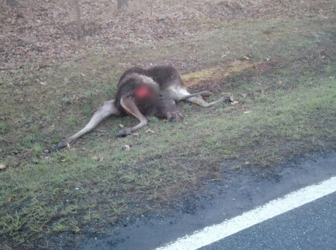 Wypadek na trasie Piła - Stara Łubianka - grafika