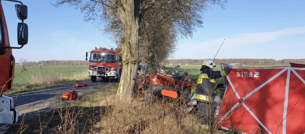 Kierowca uderzył w drzewo