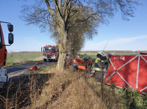 Kierowca uderzył w drzewo - grafika