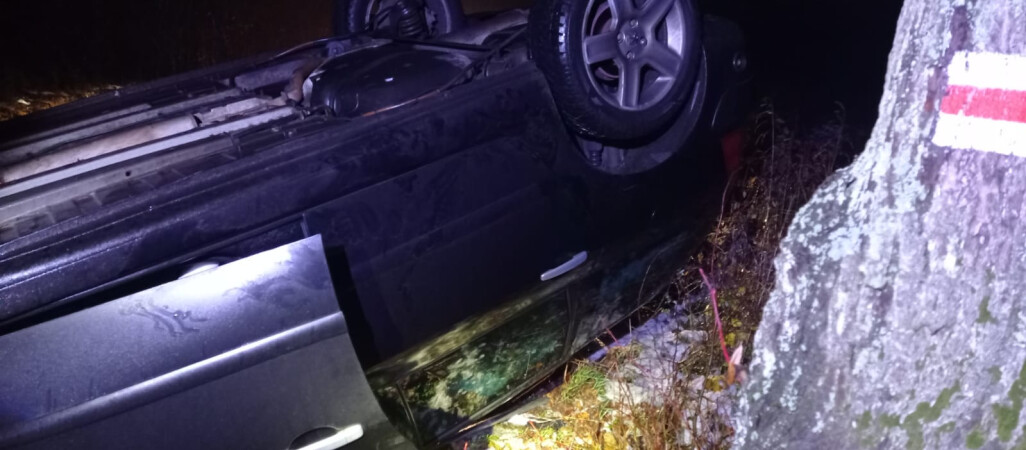 Pijany kierowca wjechał w drzewo. Miał 3 promile