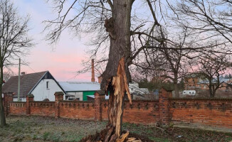 32-latek w szpitalu. Wjechał w drzewo - ZDJĘCIA 