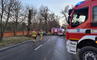 32-latek w szpitalu. Wjechał w drzewo - ZDJĘCIA 