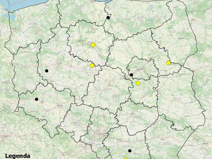 Mapa śmiertelnych wypadków na drodze  - grafika