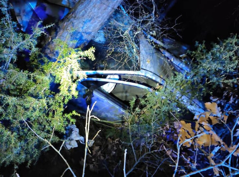 Pijany 15-latek za kierownicą. Podróż skończył na drzewie  - grafika