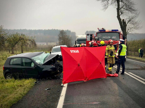 Kierowca uderzył w drzewo. DK 10 była zablokowana  - grafika