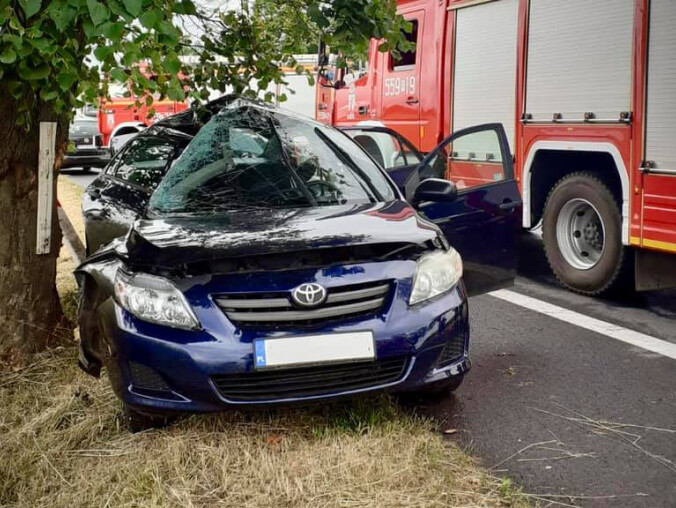 Wypadek na Drodze Krajowej nr 11 w okolicy Ujścia - grafika