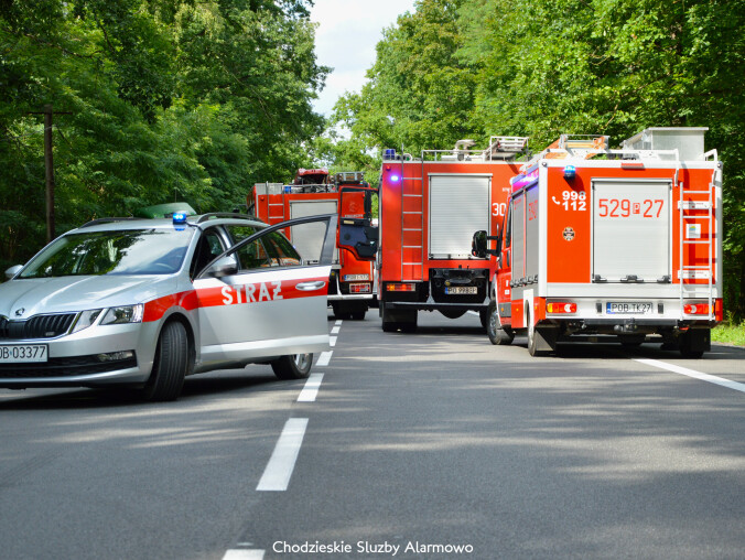 Wypadek na DK 11. Nie żyje dziecko [AKTUALIZACJA] - grafika