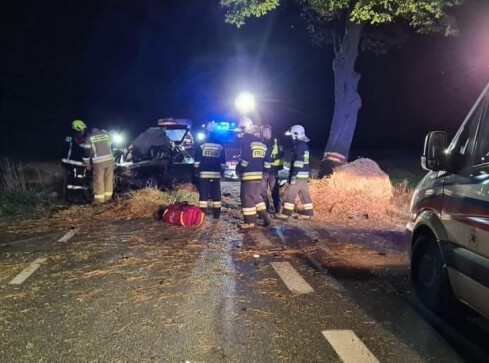 Śmiertelny wypadek w Falmierowie. Trwa akcja straży - grafika