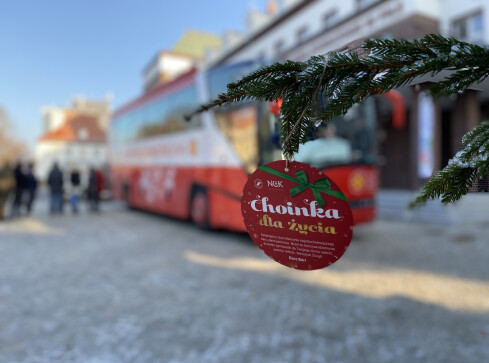 25 litrów krwi oddali pilanie... za choinki od leśników  - grafika