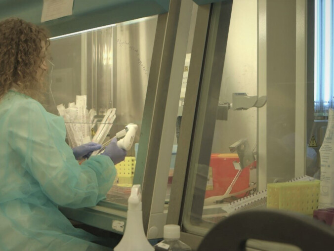 Sanepid zaprasza na Dni Otwarte - grafika