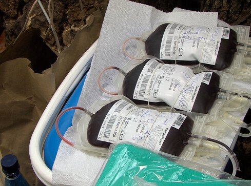 Leśnicy oddawali krew i osocze - grafika