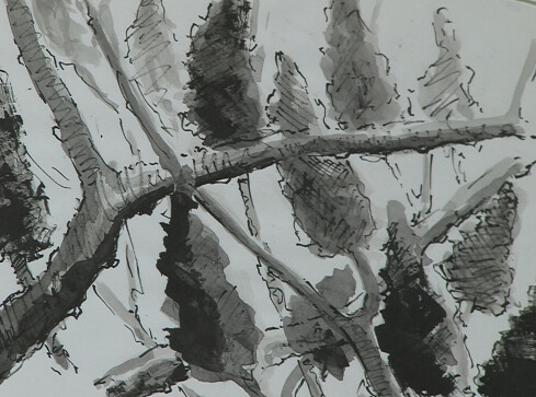 Lepsza opieka dla osób z problemami psychicznymi  - grafika