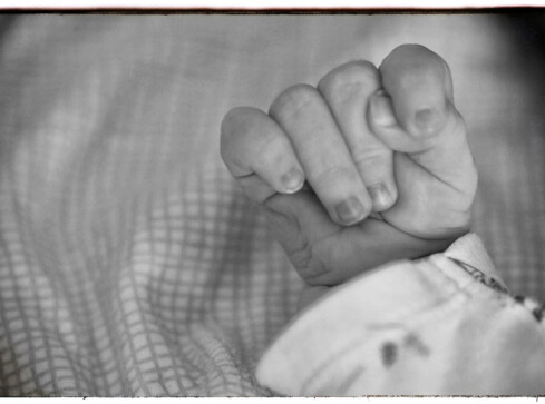 Spada liczba ludności. Tylko Wielkopolska i Małopolska na plusie  - grafika