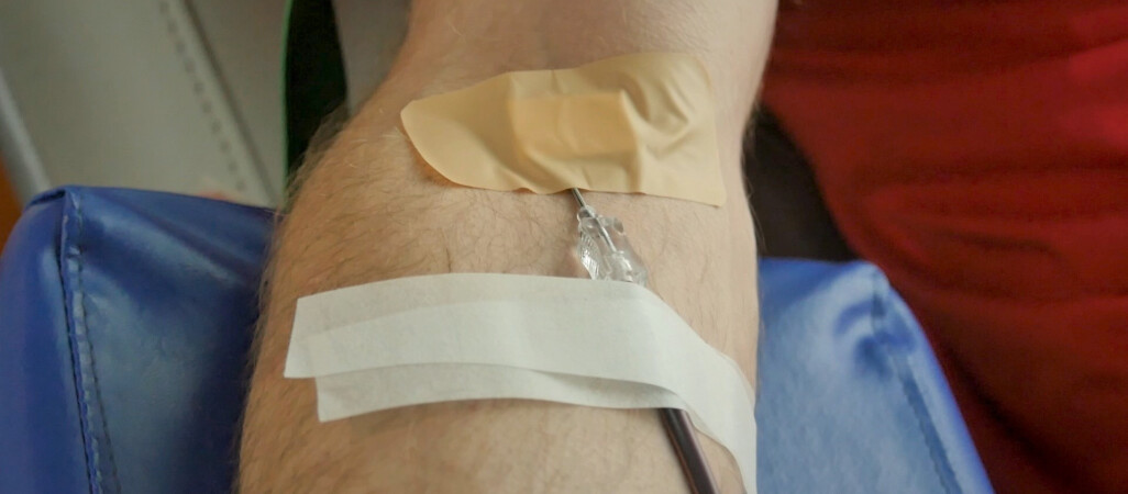 13 litrów krwi oddali leśnicy 
