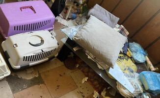 40 żywych kotów i kilka martwych w urągających warunkach 