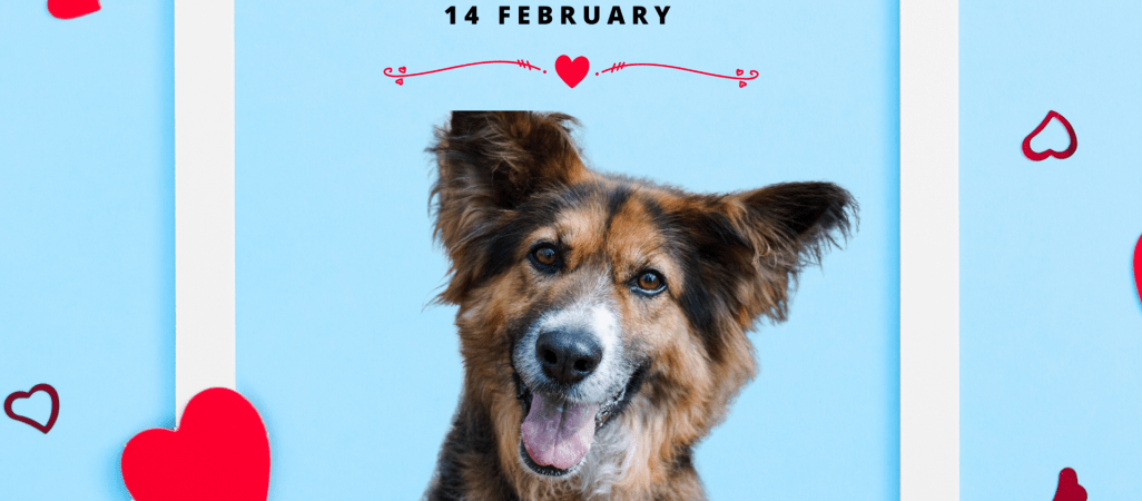 W tych oczach można się zakochać