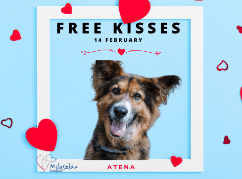 W tych oczach można się zakochać - grafika