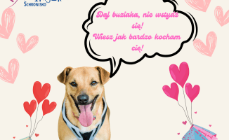 W tych oczach można się zakochać