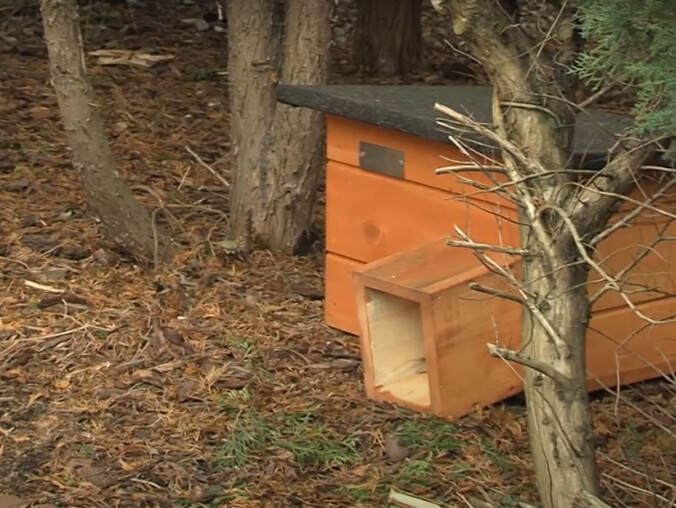 Postawili domki dla kotów i dla jeży - grafika
