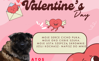 W tych oczach można się zakochać