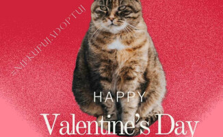 W tych oczach można się zakochać