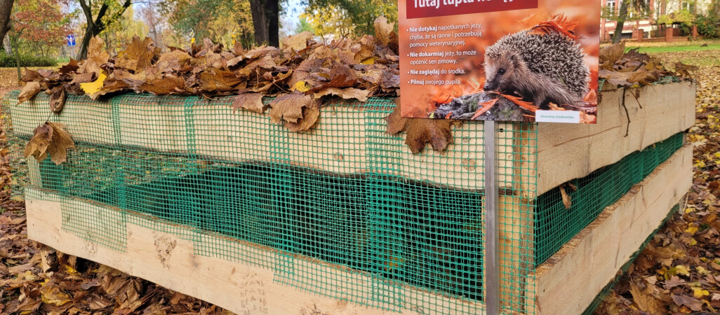 W Pile powstał domek dla jeży na zimę 