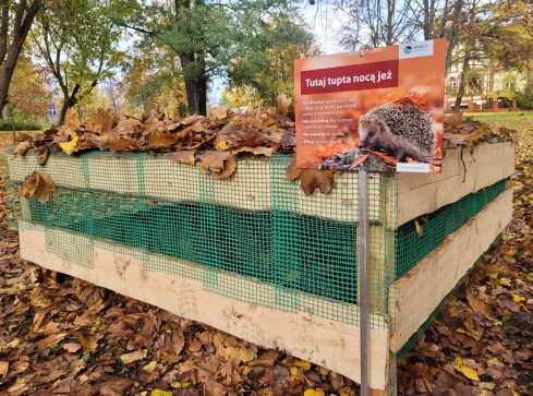 W Pile powstał domek dla jeży na zimę  - grafika