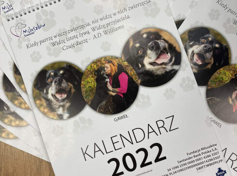 Psie piękności z Miluszkowa w kalendarzu. Akcja charytatywna  - grafika