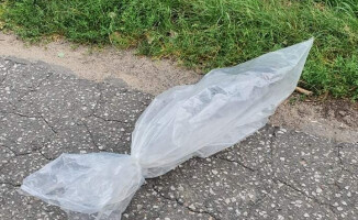 Kot w worku foliowym. Kierowca wyrzucił go z auta 