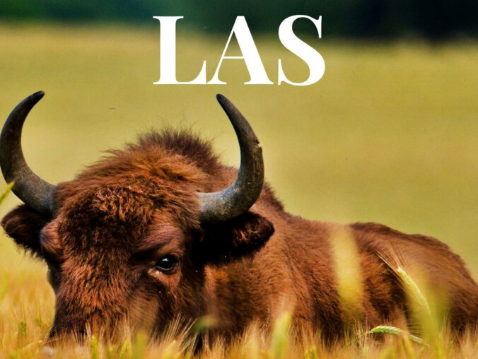 Pilanie prezentują swoje zdjęcia na dwóch wystawach  - grafika