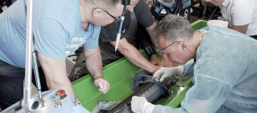 Jesiotr Janusz zdrowieje po operacji. Znów będzie pomagać niepełnosprawnym