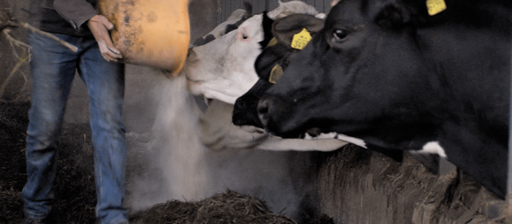 "Dziennie 109 gospodarstw ulega likwidacji" - mówi poseł PSL 