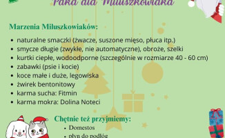 Zwierzęta ze schroniska też czekają na św. Mikołaja