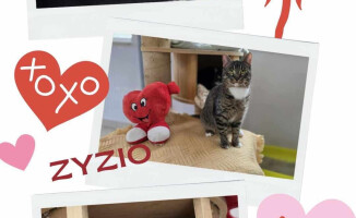 W tych oczach można się zakochać