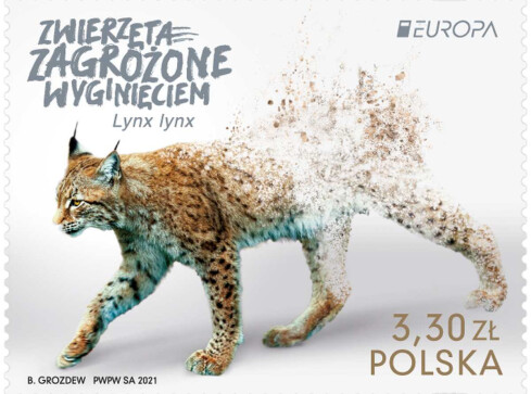 Polski ryś najpiękniejszy w Europie. Poczta Polska świętuje  - grafika