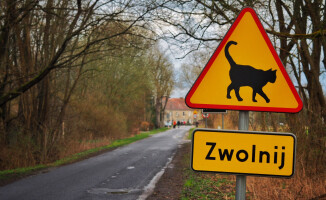 Uwaga czarownice! Takie ostrzeżenie pojawiło się pod Piłą 