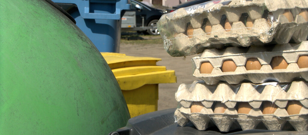 W Pile marnujemy nawet 10 tys. ton żywności rocznie!