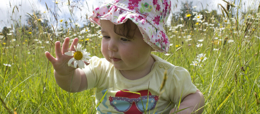Życzenia na Dzień Dziecka!