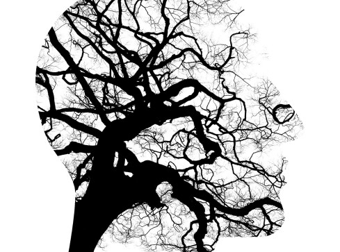 Psychiatria wstanie z kolan? W Złotowie działa Centrum Zdrowia Psych - grafika