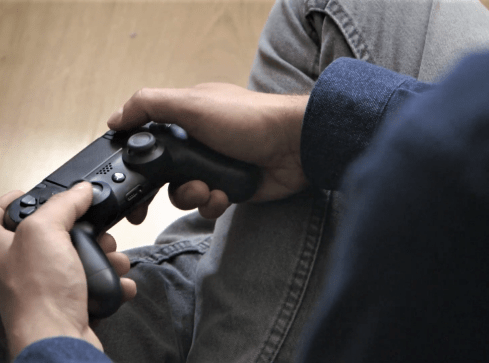 Groznawstwo na UAM? Nowy kierunek studiów w kraju  - grafika