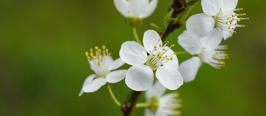 Chłodna aura nad regionem