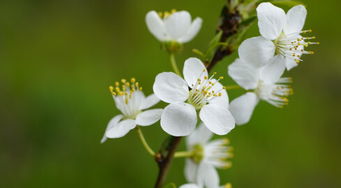 Chłodna aura nad regionem - grafika