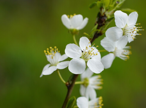 Chłodna aura nad regionem - grafika